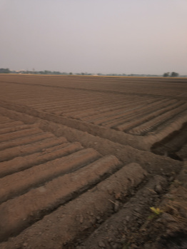 3 Acre Industrial Land for Sale in Doraha, Ludhiana | 250 Ft Front | I-Zone Approved