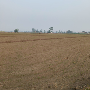 2.5 Acre Industrial Land for Sale – Near Kohara to Machiwara Link Road