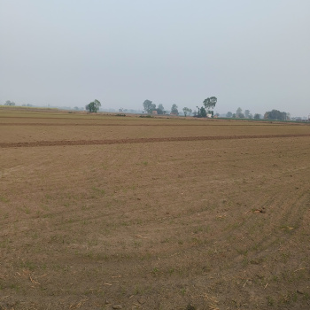 Property for sale in Kohara, Ludhiana