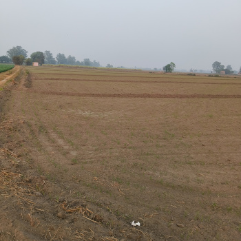 Property for sale in Kohara, Ludhiana