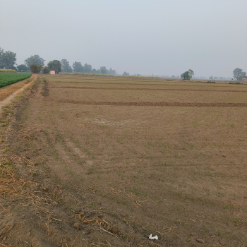 Property for sale in Kohara, Ludhiana