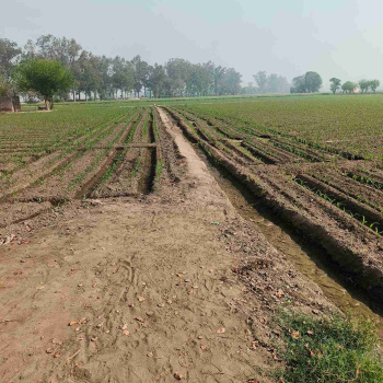 Property for sale in Jagraon, Ludhiana