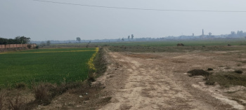 1500 Sq.ft. Residential Plot for Sale in Dilli more Jaynagar Road,Darbhanga