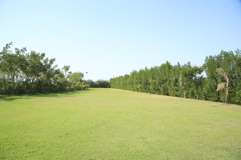 9711 Sq.ft. Residential Plot for Sale in Bagodara, Ahmedabad