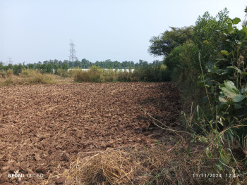 54 Guntha Commercial Lands /Inst. Land for Sale in Wada, Thane