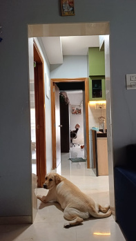 2BHK  Flat for Sale in Malad East