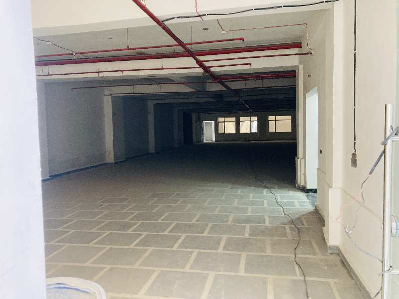 75000 Sq.ft. Warehouse/Godown for Rent in Phase II, Gurgaon