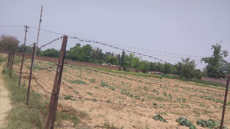 1000 Sq. Meter Industrial Land / Plot for Sale in Sector 18, Gurgaon