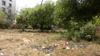 538 Sq. Yards Industrial Land / Plot for Sale in Sector 16, Gurgaon