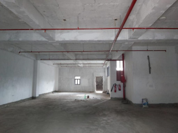 13200 Sq.ft. Factory / Industrial Building for Rent in Sector 16, Gurgaon