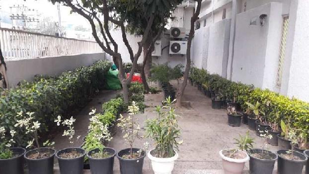 450 Sq. Meter Industrial Land / Plot for Sale in Phase IV, Gurgaon