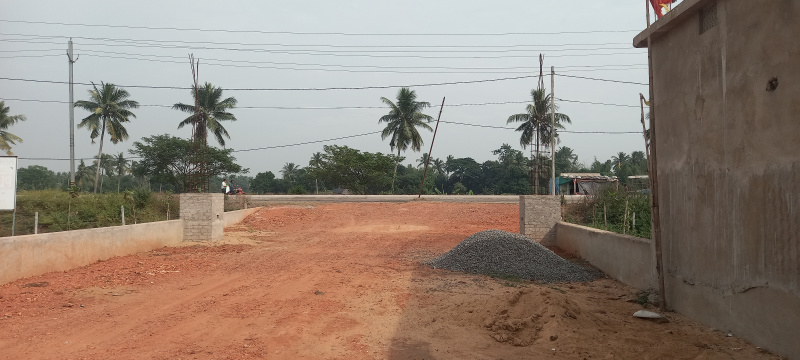 2000 Sq.ft. Residential Plot For Sale In Odisha