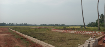 4000 Sq.ft. Residential Plot for Sale in Badambadi, Cuttack