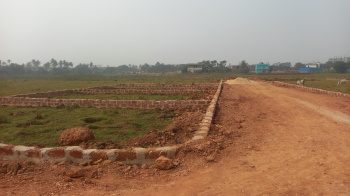 Yellow zone plot sale in Madhupur, TRISULIA