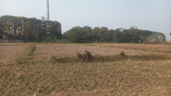 Near East College land sale in Nakhara