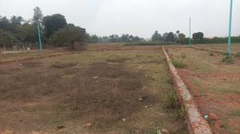 Residential land sale in Madhupur, TRISULIA
