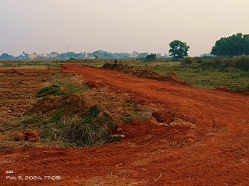 Agricultural land sale in Dhenkanal