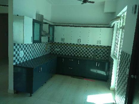 3 BHK Flats & Apartments for Rent in Techzone 4, Greater Noida (1650 Sq.ft.)