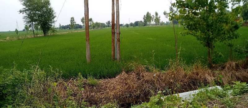 2 Acre Agricultural/Farm Land For Sale In Khatima, Udham Singh Nagar