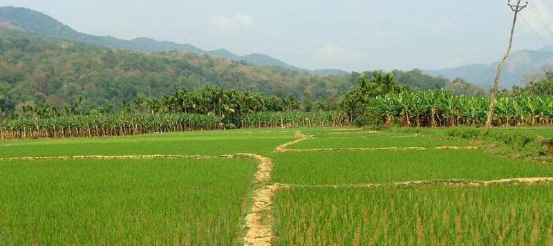 Agricultural/Farm Land For Sale In Banbasa, Champawat (17 Bigha)
