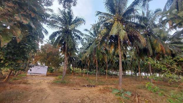 5 Ares Agricultural/Farm Land for Sale in Pollachi, Coimbatore