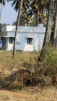 Coconut farm & house attached property sales
