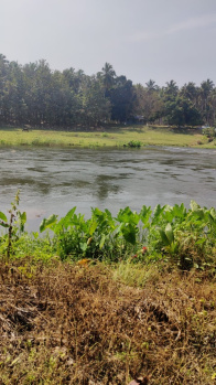 Agricultural/Farm Land for Sale in Anaimalai, Coimbatore (1 Acre)