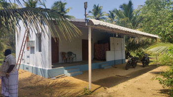 Aliyar dam nearly coconut farm sales