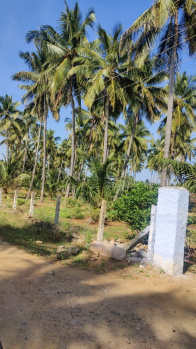 Property for sale in Udumalai/udumalpet, Coimbatore
