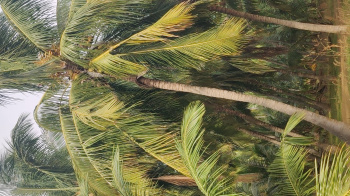 Pollachi to Coimbatore hiway road nearly