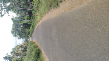 Pollachi to Coimbatore hiway road 5 km land