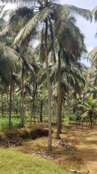 Property for sale in Alagu Nagar, Coimbatore