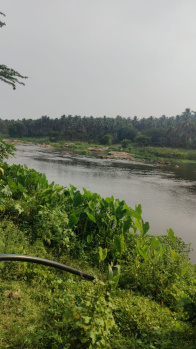 Aliyar said river said coconut property sales
