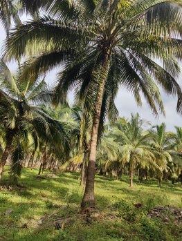 Aliyar dam road nearly property