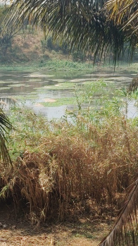 Aliyar river Said property sales