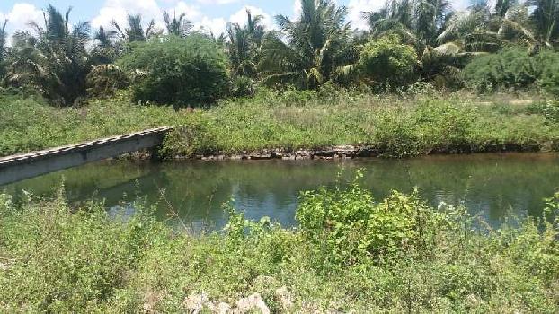 34 Ares Agricultural/Farm Land for Sale in Pollachi, Coimbatore