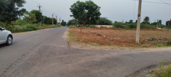 1 BHK Residential Plot for Sale in Sukhadia Nagar, Bhilwara (4733 Sq.ft.)