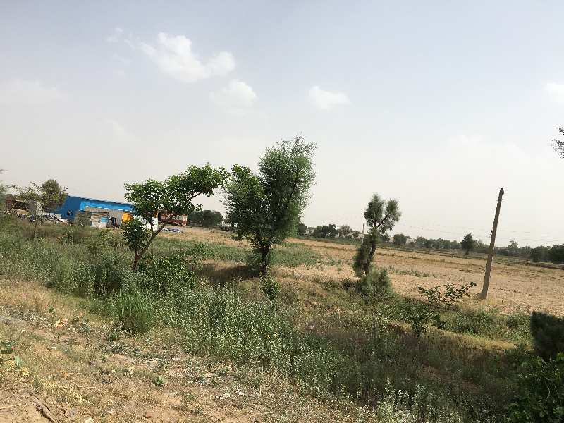 Agricultural/Farm Land for Sale in Dharuhera, Rewari (20 Acre)