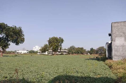 44 Guntha Agricultural/Farm Land for Sale in Savda, Jalgaon