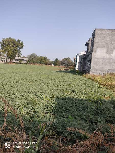 44 Guntha Agricultural/Farm Land for Sale in Savda, Jalgaon