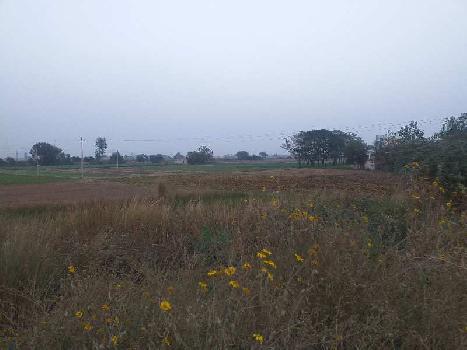 Land on nh44 from rajpura to sirhind road