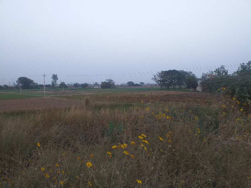 Land on nh44 from rajpura to sirhind road