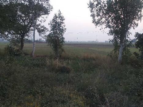 Land on nh1 rajpura to sirhind road