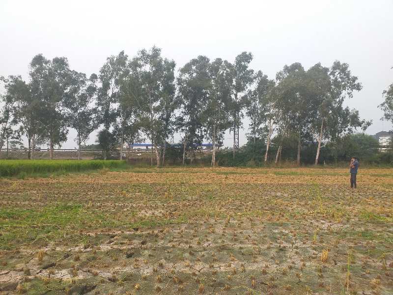 Commercial land on nh1 rajpura