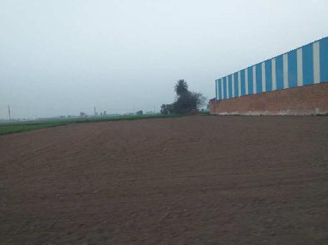 Industrial land in industrial zone rajpura