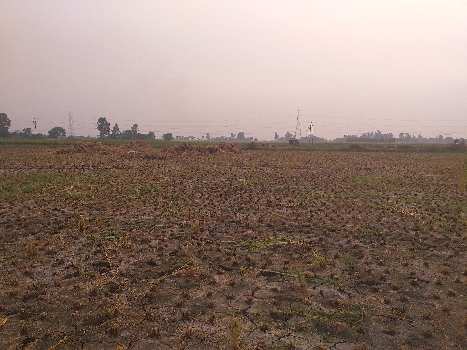 160 Bigha Agricultural/Farm Land for Sale in Landran Banur Road, Mohali