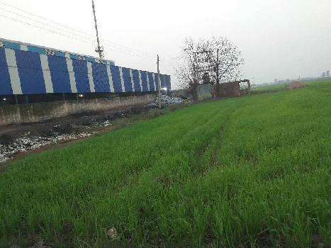 10 Acre Industrial Land / Plot for Sale in Nilpur, Rajpura
