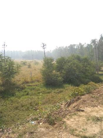 Property for sale in NH 1, Rajpura
