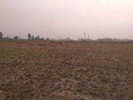 50 Acre Warehouse/Godown for Sale in NH 1, Rajpura