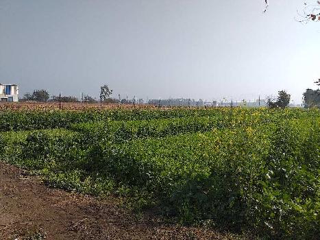 5 Bigha Industrial Land / Plot for Sale in Shambhoo Khurd, Rajpura